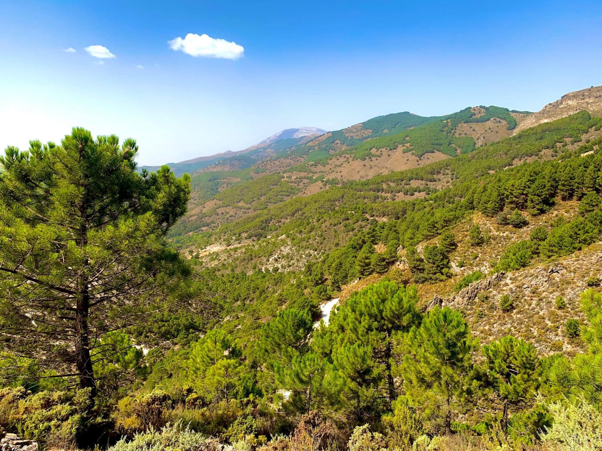 Finca El Almendro マラガ エクステリア 写真