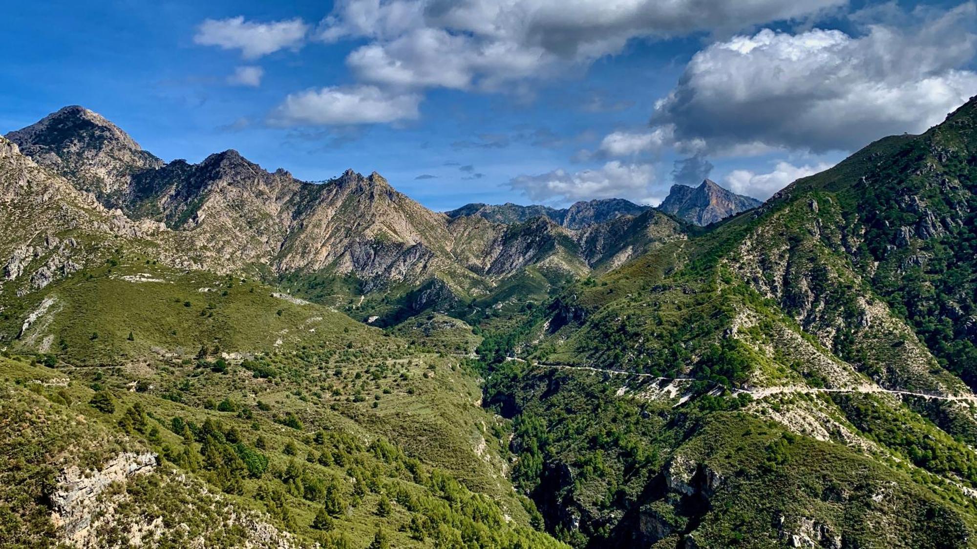 Finca El Almendro マラガ エクステリア 写真