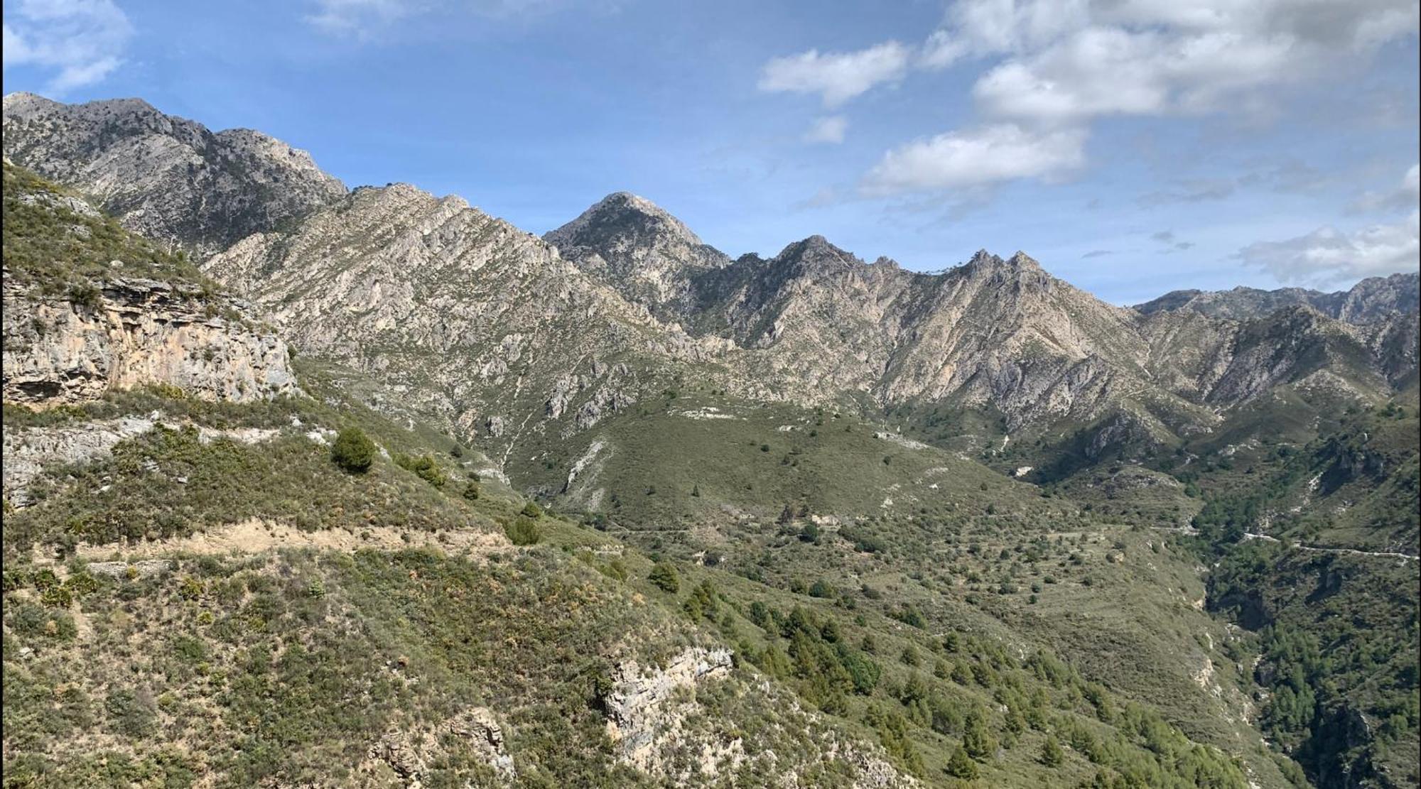 Finca El Almendro マラガ エクステリア 写真
